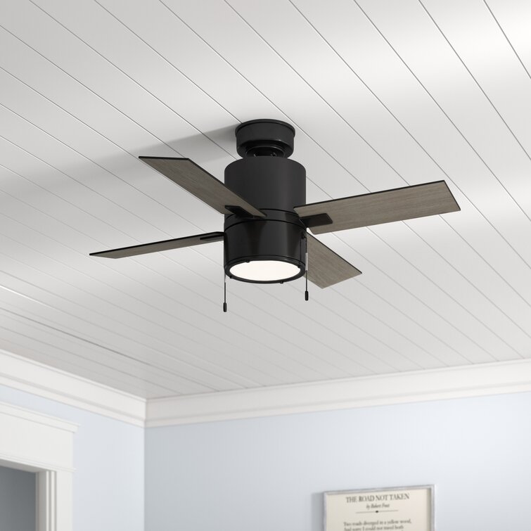 hunter simple modern ceiling fan