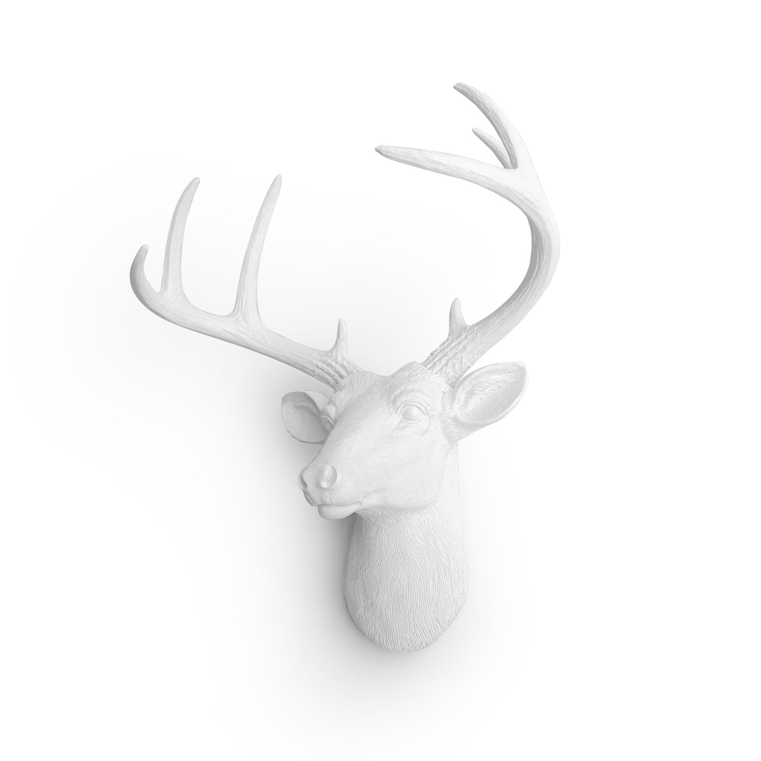 Millwood Pines Mini White Deer Head Wall Décor & Reviews Wayfair
