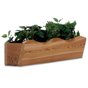 Window Bo You Ll Love Wayfair Cedar Window Box Planter