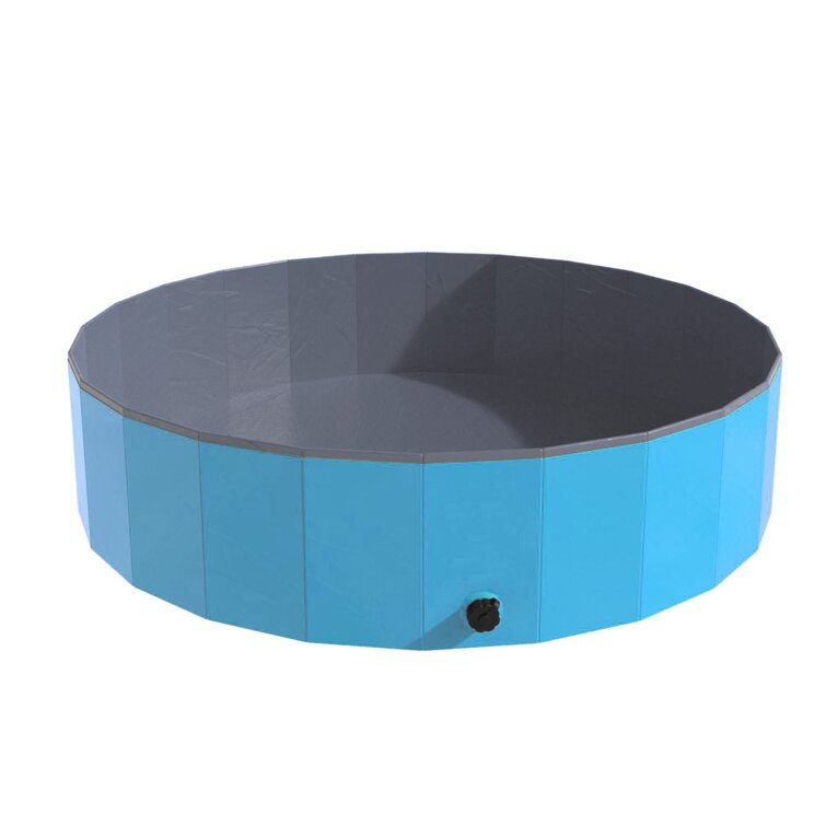 Pet Pal Foldable Pool for Dogs and Kids & Reviews | Wayfair