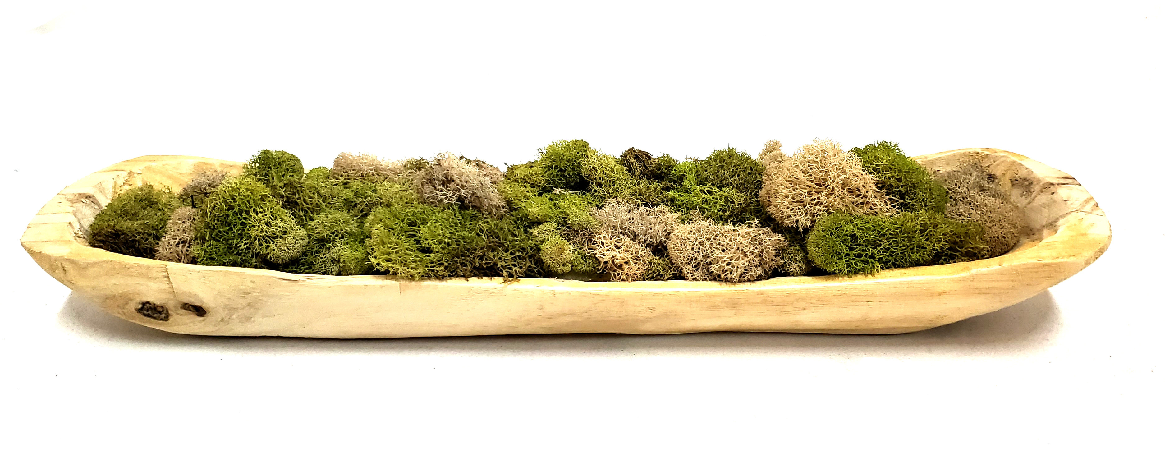 Union Rustic Mound In Boat Moss Grass Wayfair