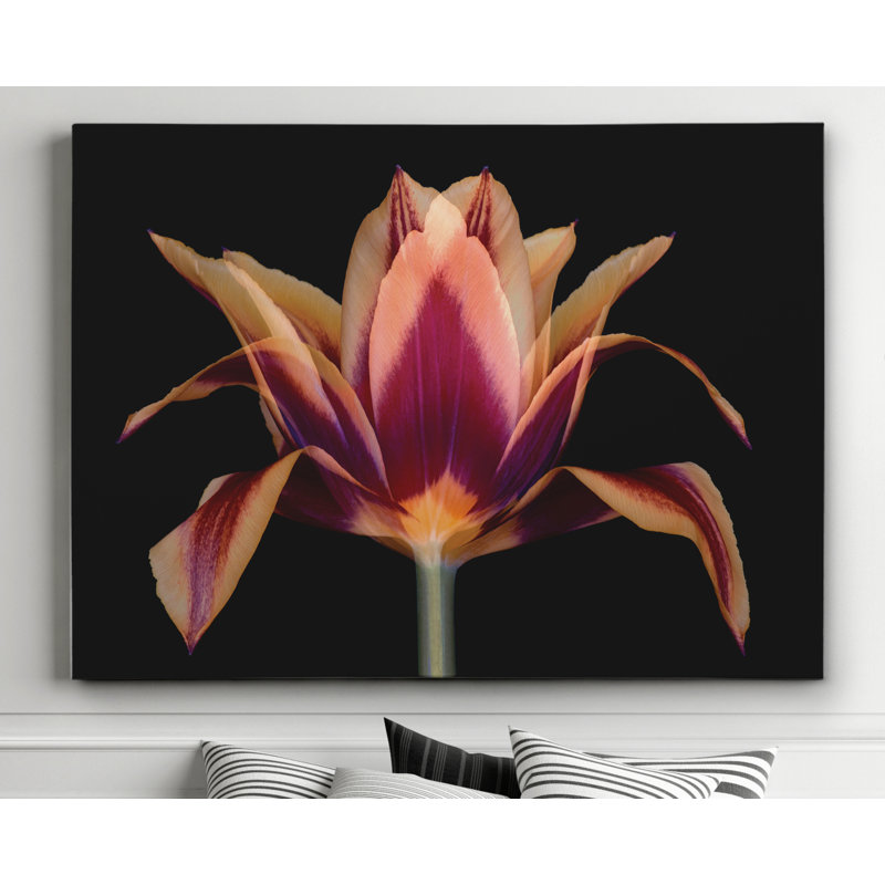 Ebern Designs Red Tulip Graphic Art Print On Wrapped Canvas Wayfair