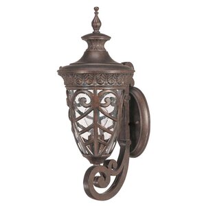 Dunamoy 1-Light Outdoor Sconce