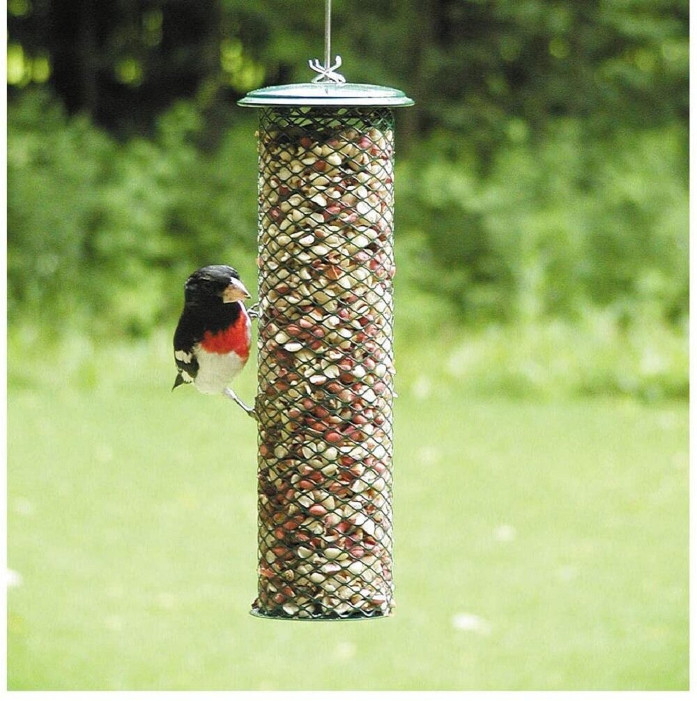 Birds Choice Magnet Mesh Peanut Tube Bird Feeder & Reviews | Wayfair