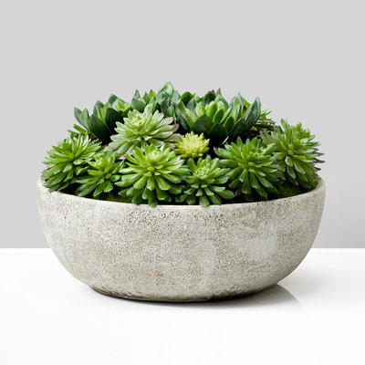 Faux Succulent Mix In Bowl