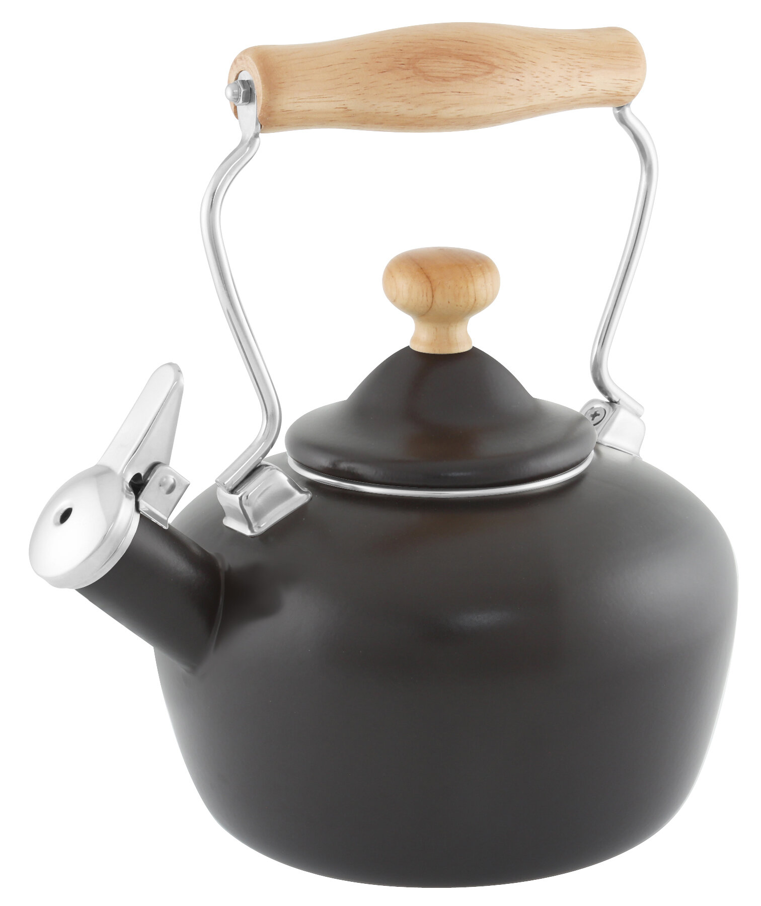 stainless tea kettle