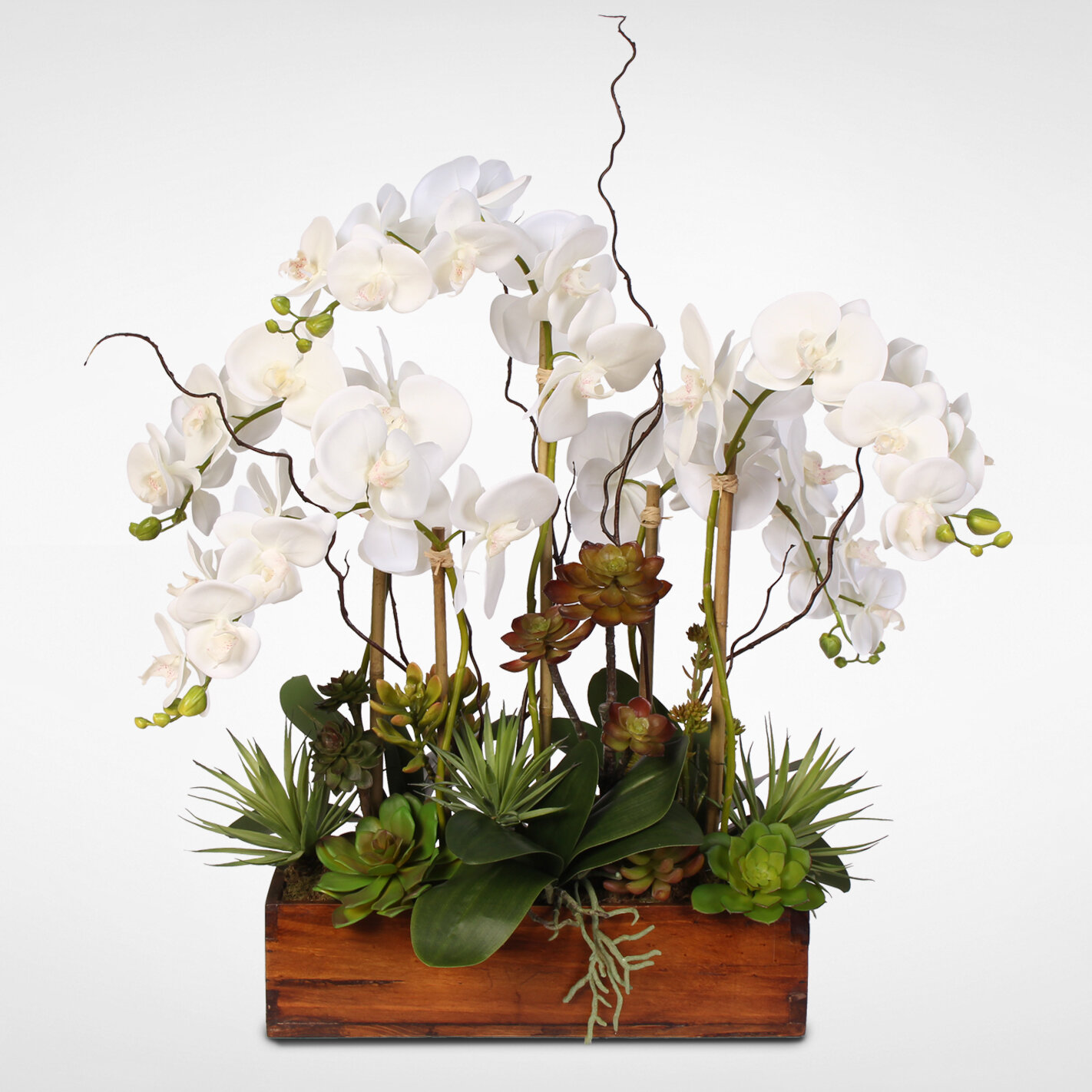 Fresh Orchid Flower Arrangements