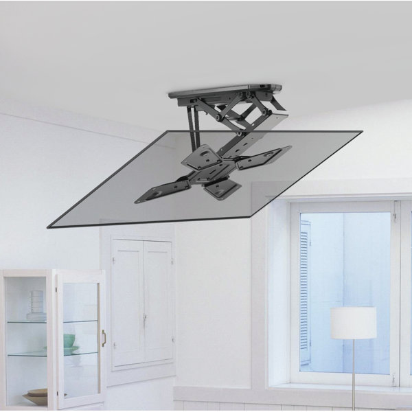 Motorized Tv Lift Wayfair
