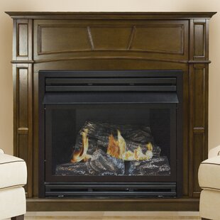 Shawnta Vent Free Fireplace By Darby Home Co