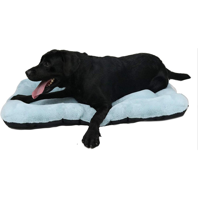 medium dog crate bed