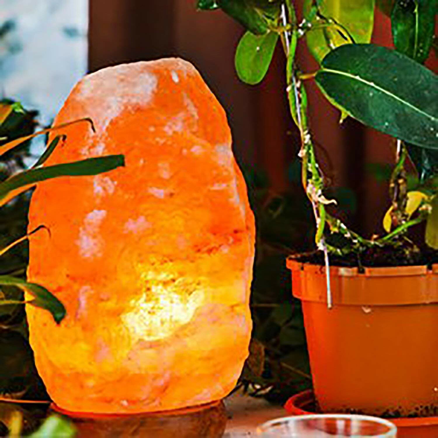 salt lamp set