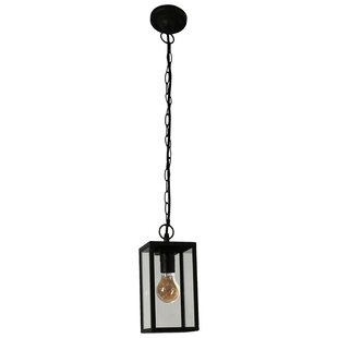 Delatorre 1-Light Outdoor Hanging Lantern By Sol 72 Outdoor
