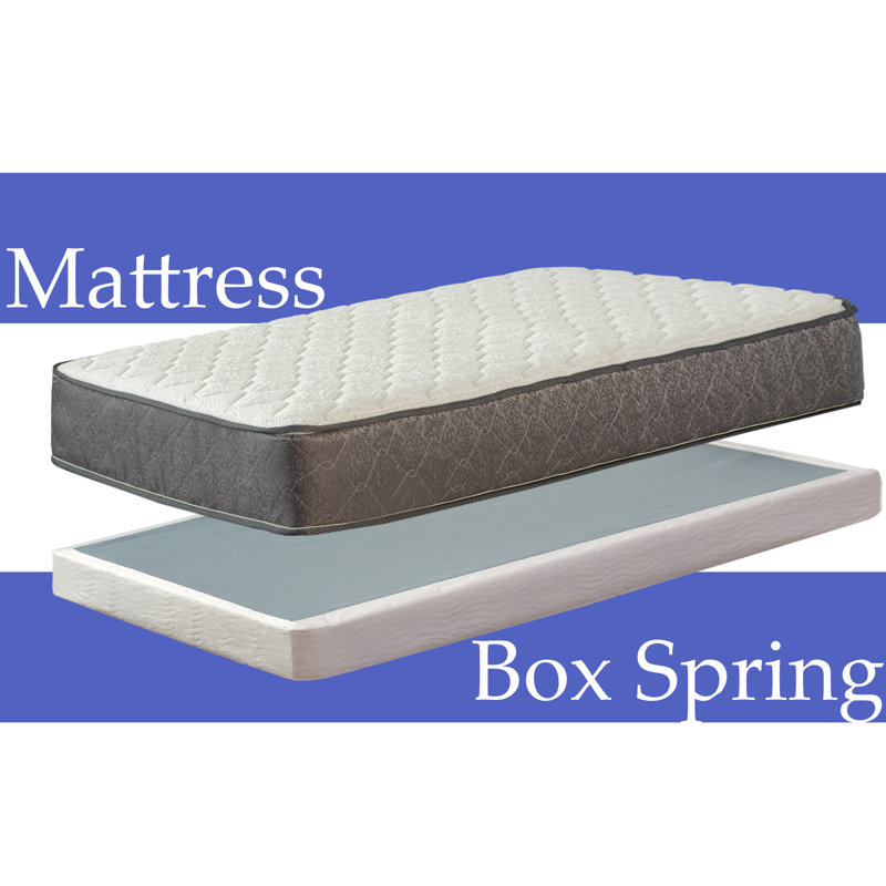 Alwyn Home Pocketed Coil Rolled Medium Latex Mattress With Box