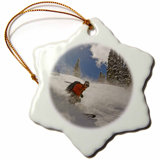 Skiing Ornament Wayfair