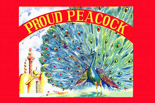 As as peacock proud a Idiom Origins