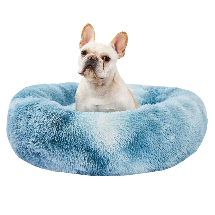 x small dog bed