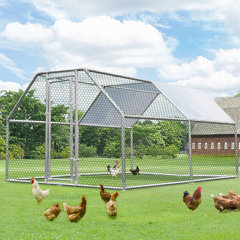 chicken exercise pen