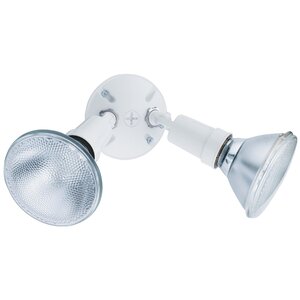 Standard 2-Light Outdoor Spotlight