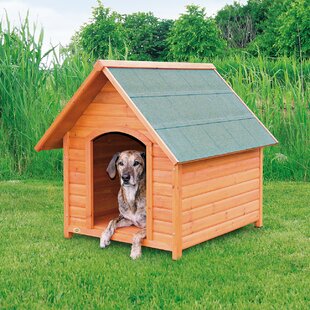 Wayfair | Dog Houses You'll Love in 2022