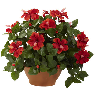 Alcott Hill Hibiscus Desk Top Plant in Planter