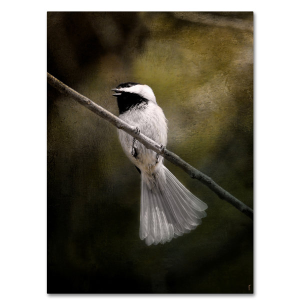 Trademark Art A Song In Your Heart Chickadee Graphic Art Print On Wrapped Canvas Wayfair