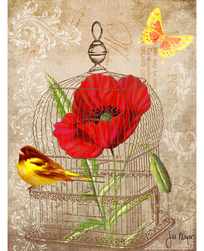 August Grove Birdcage With Yellow Bird Postcard Global Chic