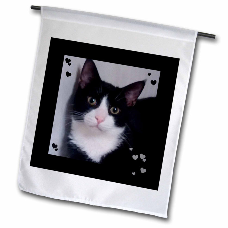 3drose Cute Cat Lovers Tux Cat Closeup Photo Polyester 18 X 12 In Garden Flag Wayfair