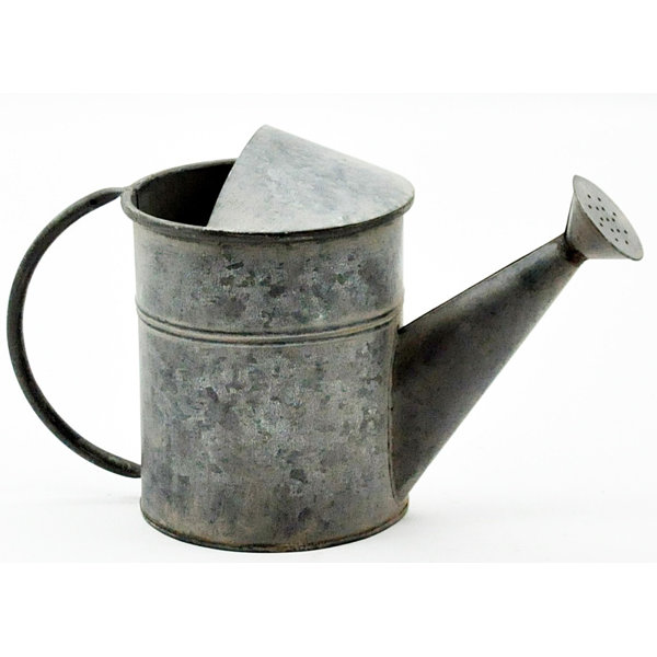 Watering Can Wayfair Co Uk