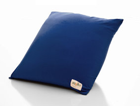 Yogibo Indoor Bean Bag Chair Reviews Wayfair