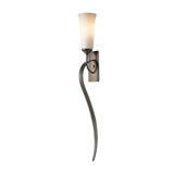 Hubbardton Forge Mediki 1 Light Wallchiere Perigold