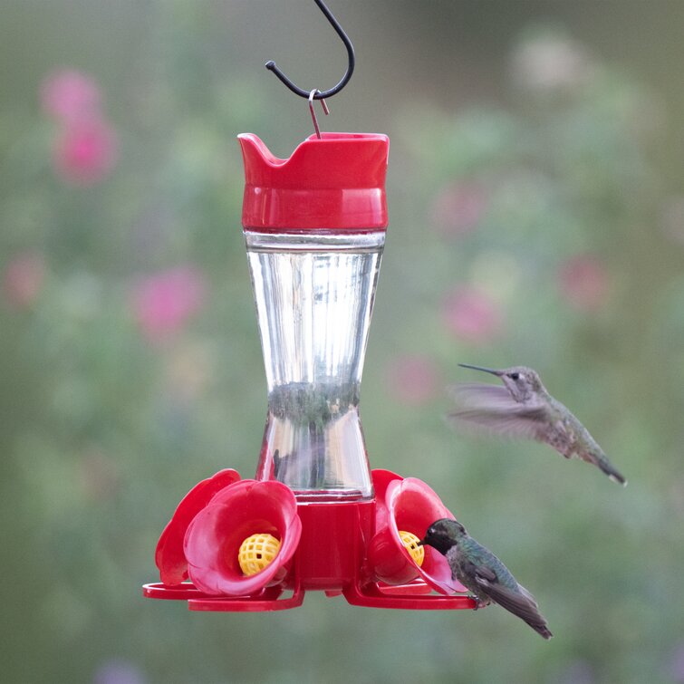 More Birds Hummingbird Feeder 8-Ounce Nectar Capacity Impatiens Red 4 Feeding Stations Glass Hummingbird Feeders 