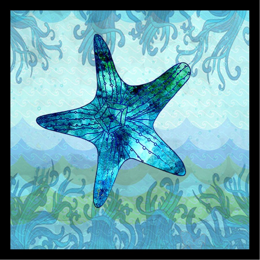 Wall Picture on Stretcher 3D 40cm Nautical Starfish Print Painting holding cushion picture