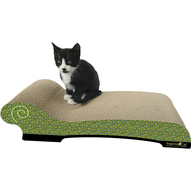 Tucker Murphy Pet Citronelle Large Chaise Lounge Recycles Paper