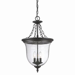 Roquemore 3-Light Outdoor Pendant