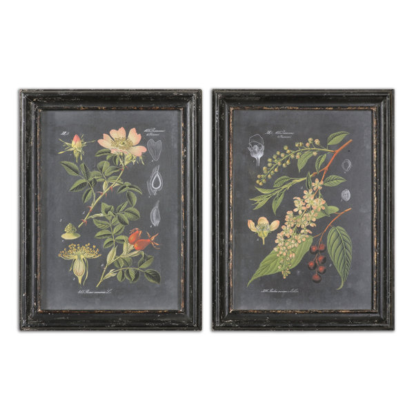 Farmhouse Rustic Floral Botanical Wall Art Birch Lane