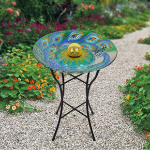 Solar Birdbath Bubble Wayfair 18 Outdoor Gl Pea Solar Birdbath