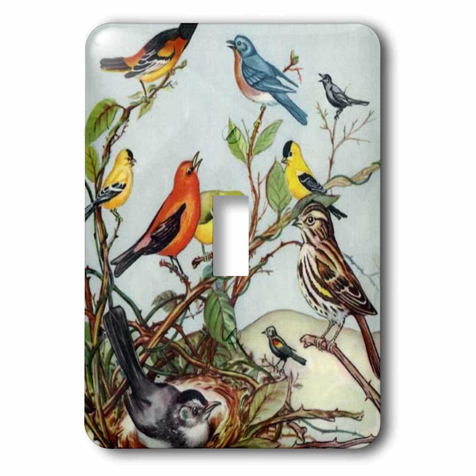 3drose Ten Birds Cartoon 1 Gang Toggle Light Switch Wall Plate Wayfair