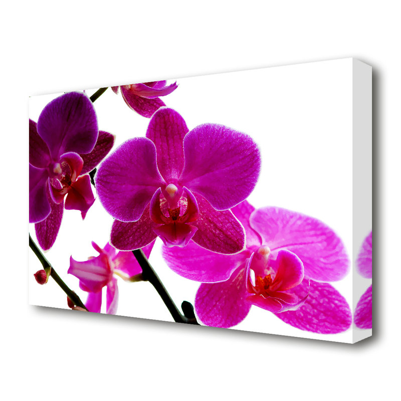 Purple Orchid Floral Flower Canvas Wall Art Picture Print