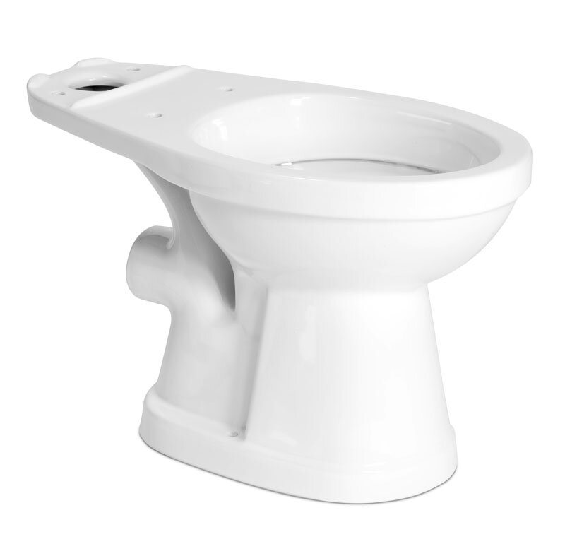 SaniFlo Elongated 1.6 GPF Elongated Toilet Bowl Only & Reviews | Wayfair.ca