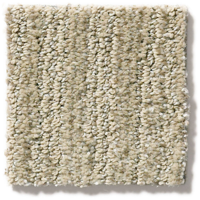 Shaw Floors Dynamic Vision 9" x 36" Level Cut and Loop ...