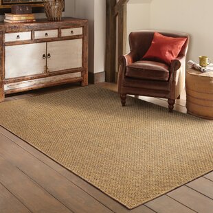 Rustic Area Rugs Birch Lane