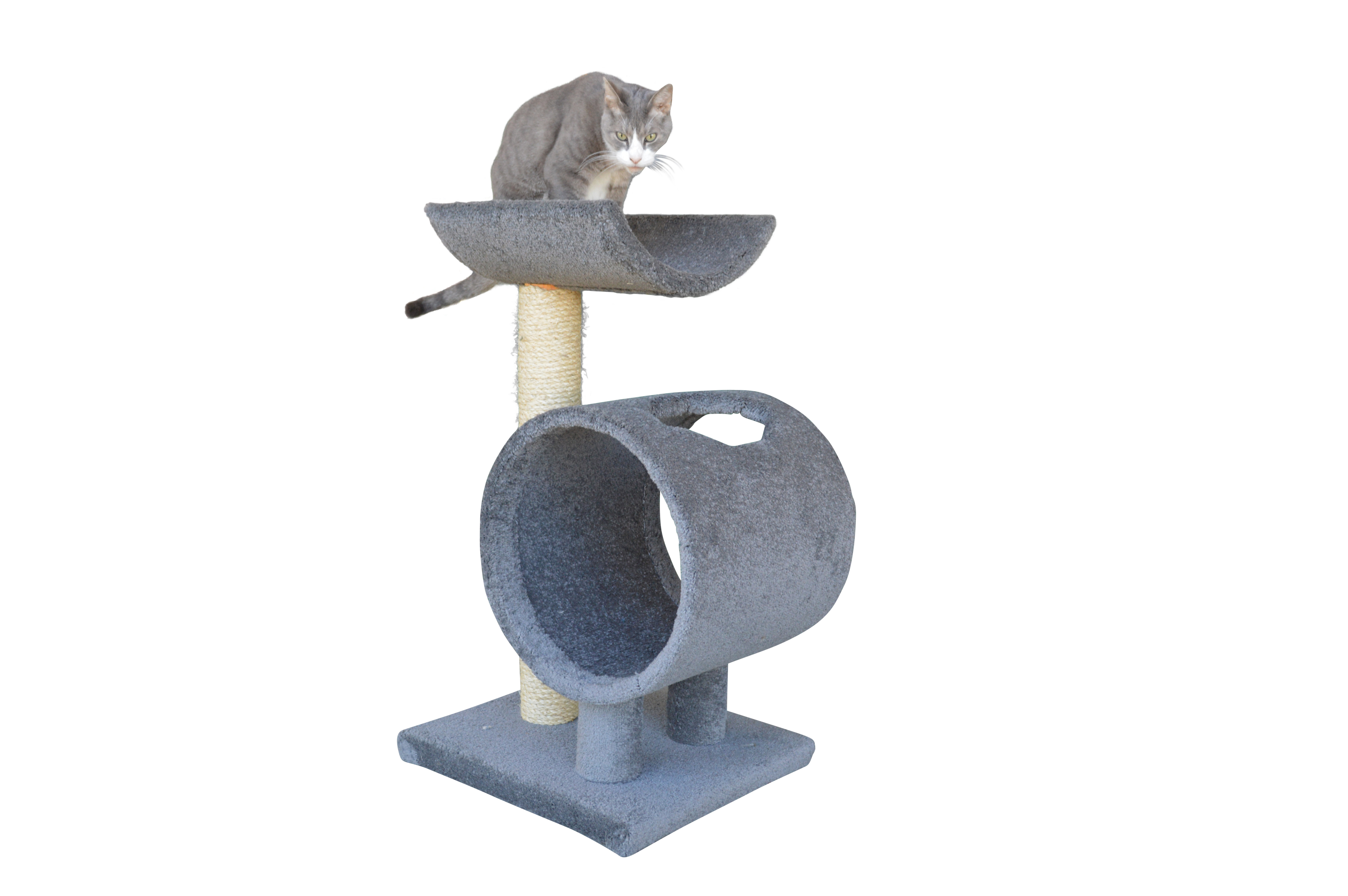 molly and friends cat scratching post