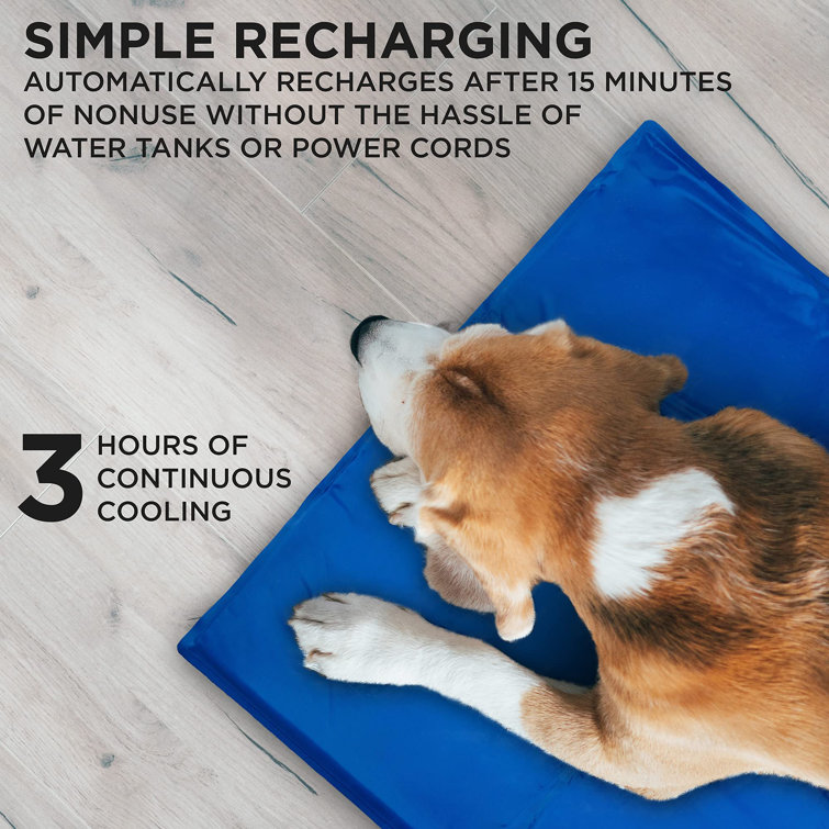 arf pets cooling mat