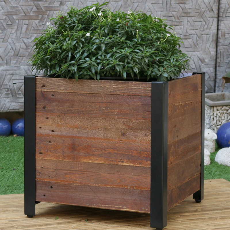 Gracie Oaks Linscott Square Urban Garden Recycled Wood Planter Box Reviews Wayfair Budzynski square fiberglass planter box 17 stories color: linscott square urban garden recycled wood planter box