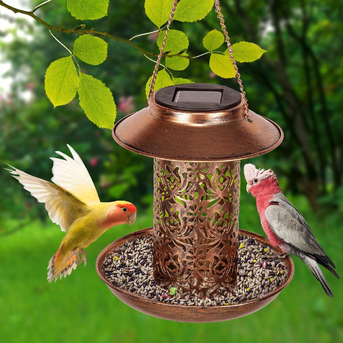 Bird Feeder Wild Seed Squirrel Lantern Window Clear Garden Proof Birdscapes Duty 