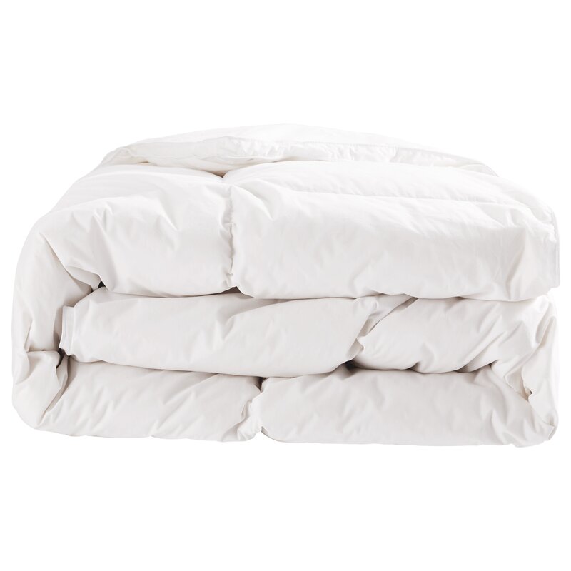 Charlton Home Fiber Winter Down Comforter Reviews Wayfair