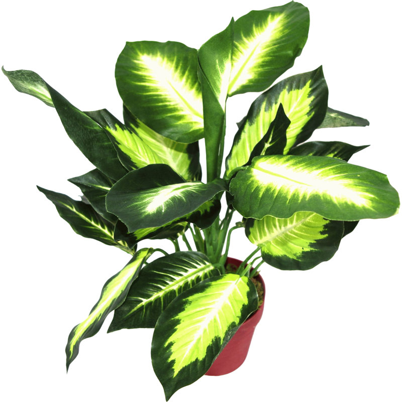 The Seasonal Aisle Artificial Dieffenbachia Plant & Reviews Wayfair.co.uk