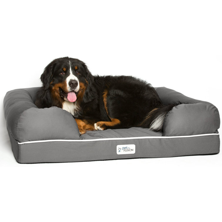 bully beds orthopedic memory foam dog bed