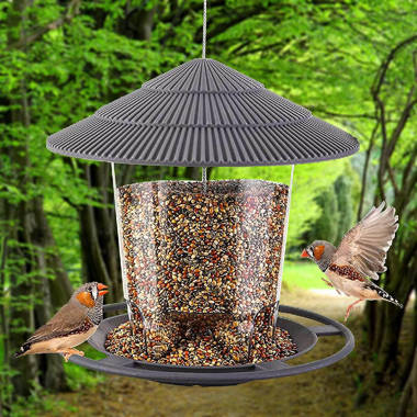 stovall whole peanut feeder