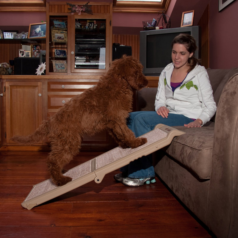 pet gear folding ramp